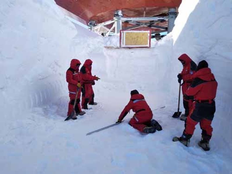 �Ϲ�NG��28(�й���)����Ʒ���������޹�˾